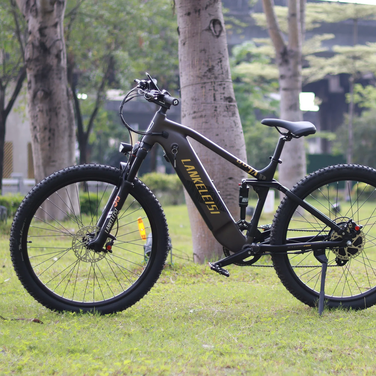 【Pre-Sale】LANKELEISI RX600PRO