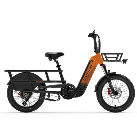 LANKELEISI Wombat-1 1000W Fat Tires Cargo E-Bike