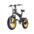 Lankeleisi X3000Plus-Up 20 Inch 4.0 Fat Tire Snow E-Bike Eu / Grey