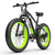 Lankeleisi Xc4000 Electric Fat Bike Eu / Green